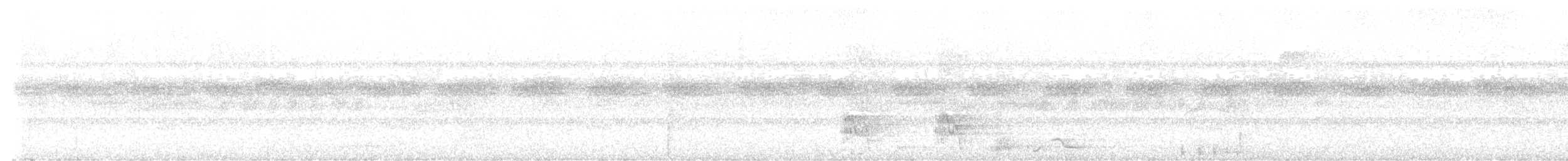 White-throated Tinamou - ML613864833