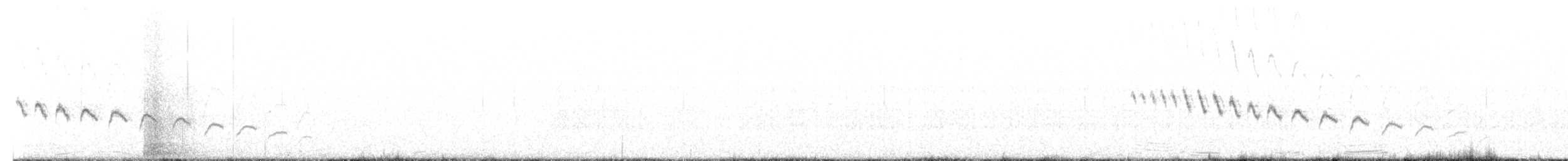 Canyon Wren - ML613867384