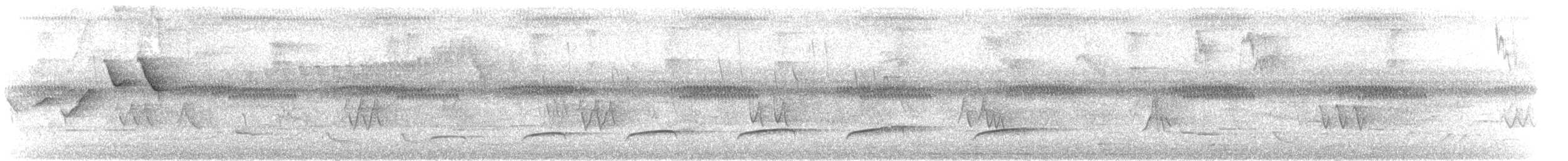 Streifenkehl-Attilatyrann - ML613869186