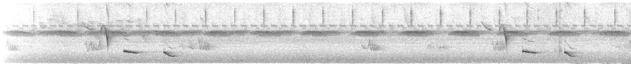 Troglodyte à long bec - ML613869938