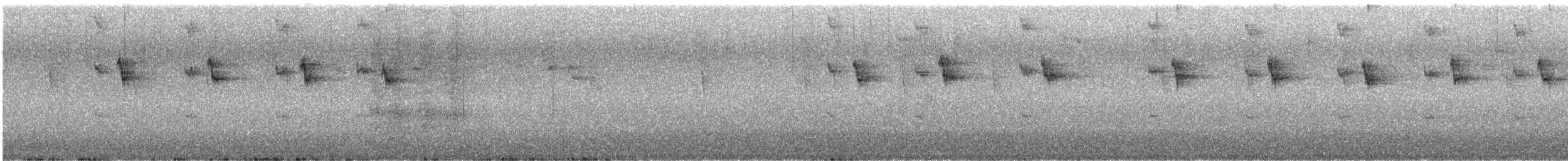 Colibri à oreilles blanches - ML613870025