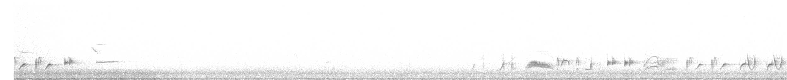 Curve-billed Thrasher (palmeri Group) - ML613870277