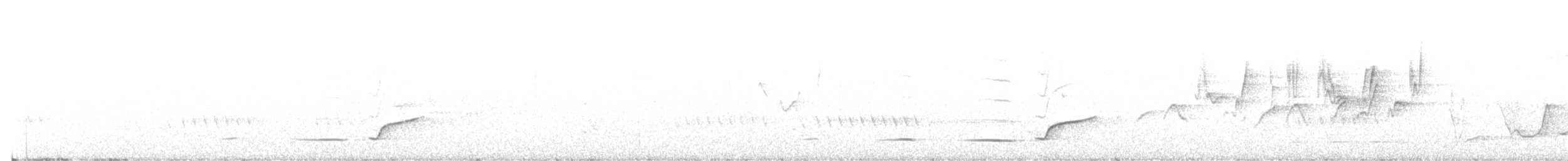 Batılı Altuni Islıkçı - ML613872703