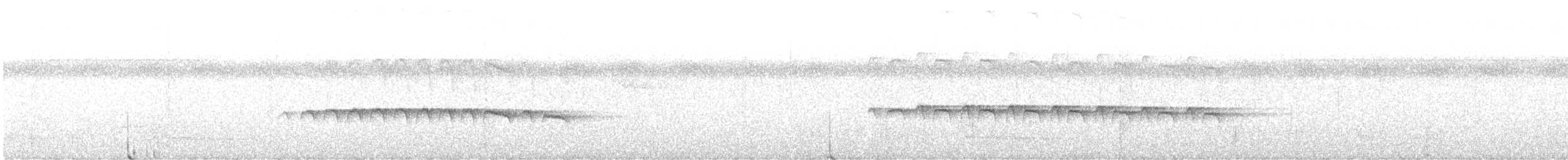 Weißband-Ameisenvogel - ML613872960