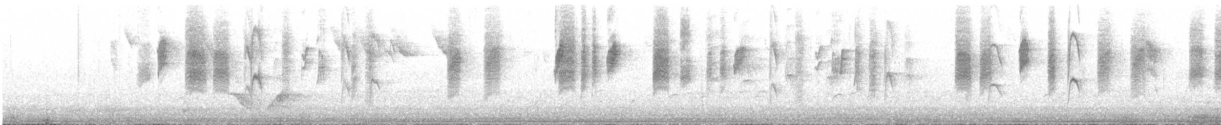 Roststirn-Dornschnabel - ML613872990