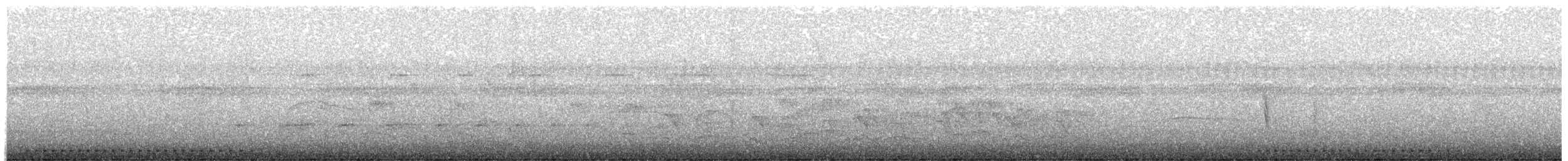 Декол плямистоволий - ML613873933