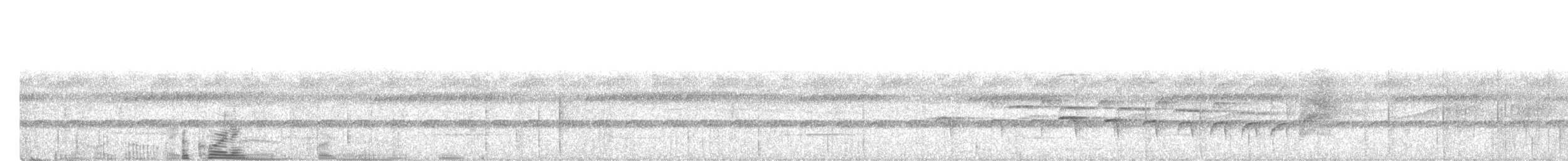 Guianan Warbling-Antbird - ML613877898