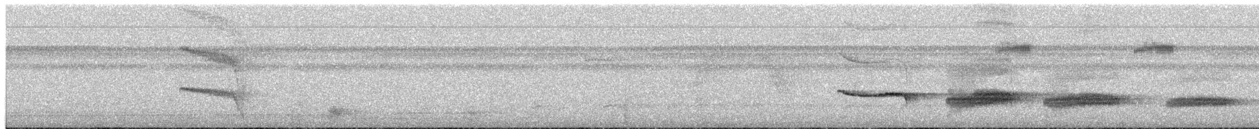 Tropfenmantel-Ameisenvogel - ML613880201