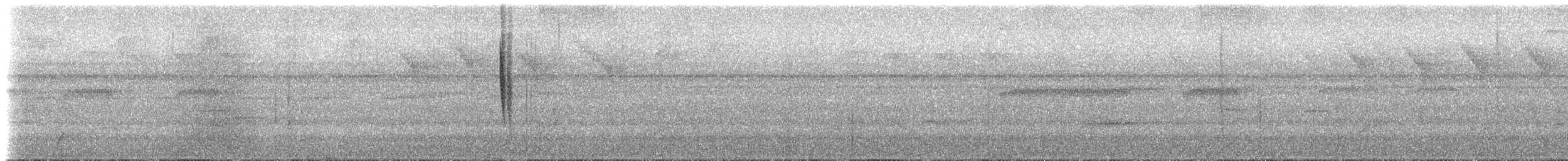 Пестрохвостый колибри - ML613880966