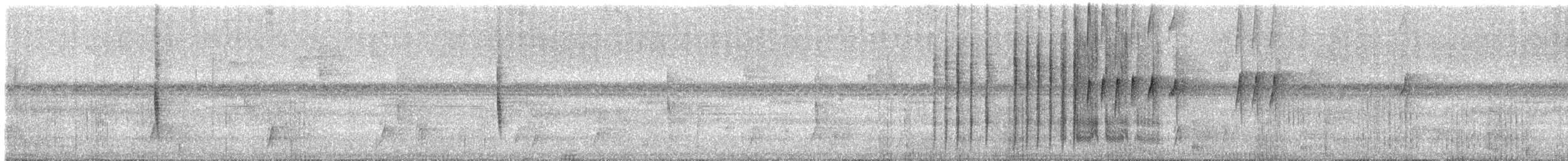Пестрохвостый колибри - ML613881730