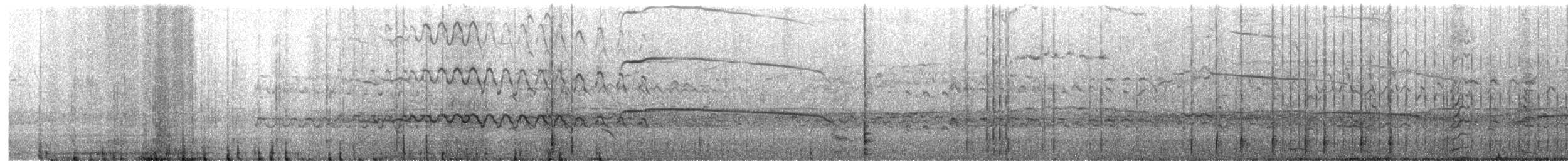 Laysan Albatross - ML613881736