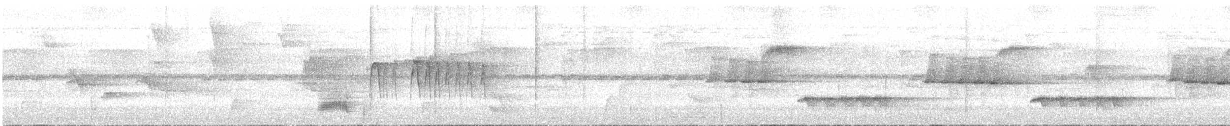 Troglodyte à poitrine blanche (groupe leucosticta) - ML613885770