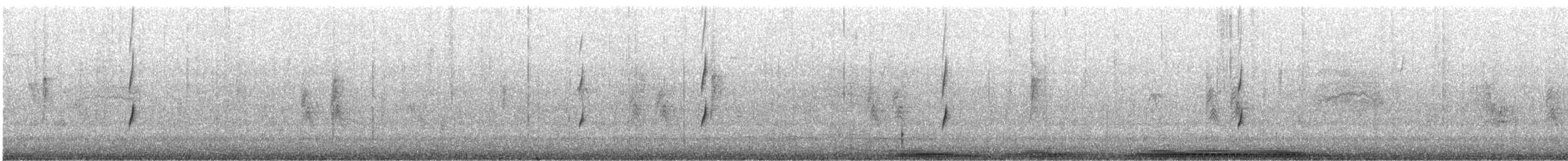 ネズミメジロハエトリ - ML613888151