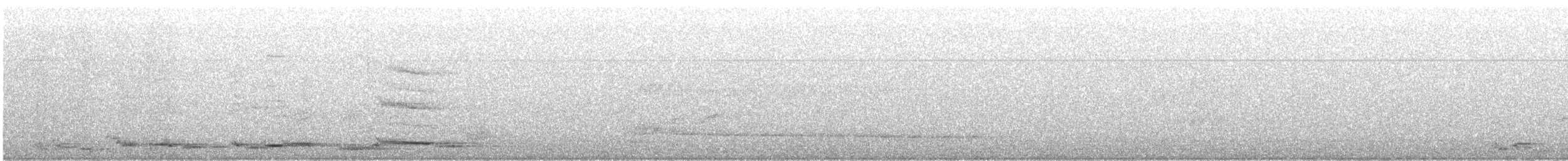 Avustralya Saksağanı (telonocua/tyrannica) - ML613894850