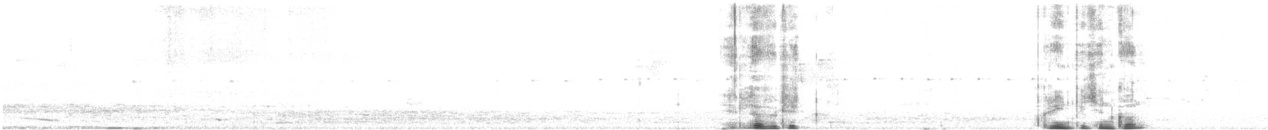 holub fialovoramenný - ML613895836