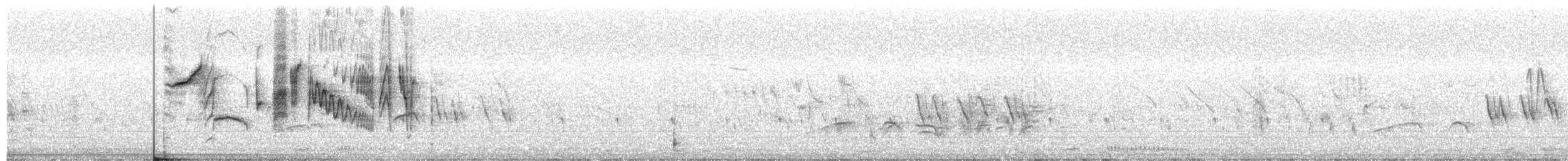 Shaft-tailed Whydah - ML613898371