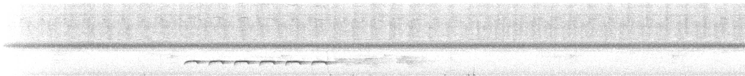 White-shouldered Fire-eye - ML613900211