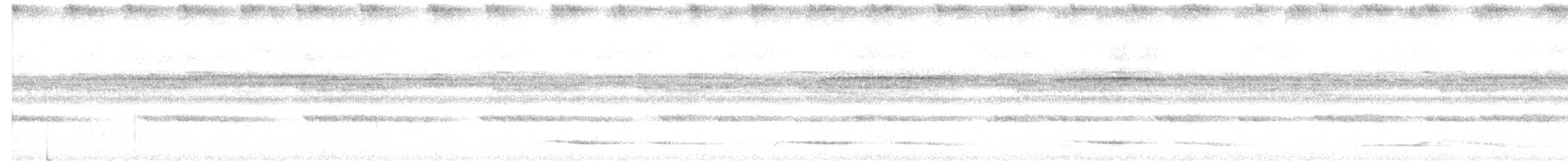sova srílanská - ML613900553