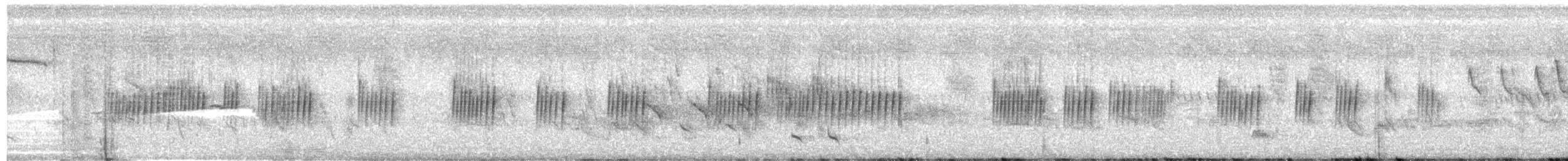 Schmalschwanzwitwe - ML613901987