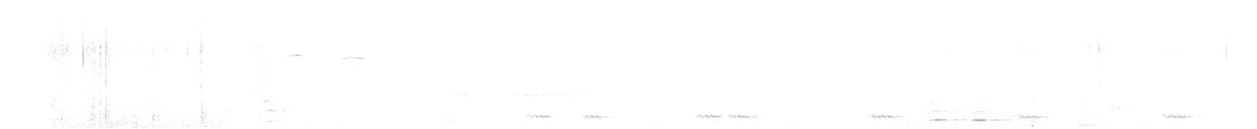 White-cheeked Barbet - ML613902116