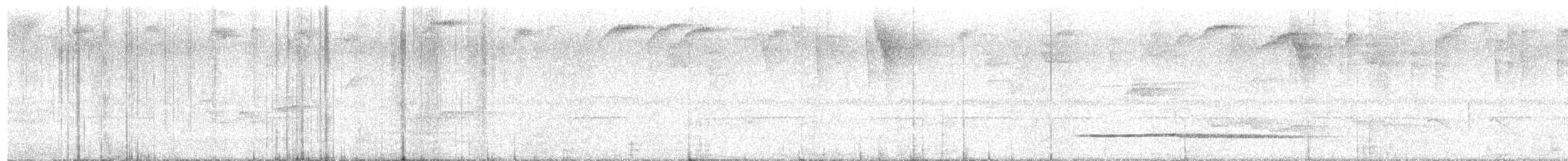 Little Tinamou - ML613906148