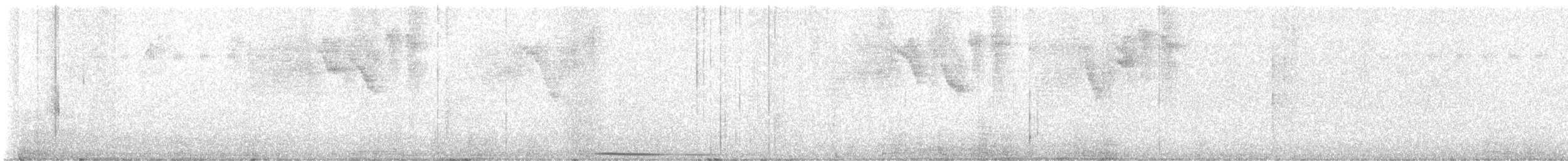 holub grenadský - ML613906672