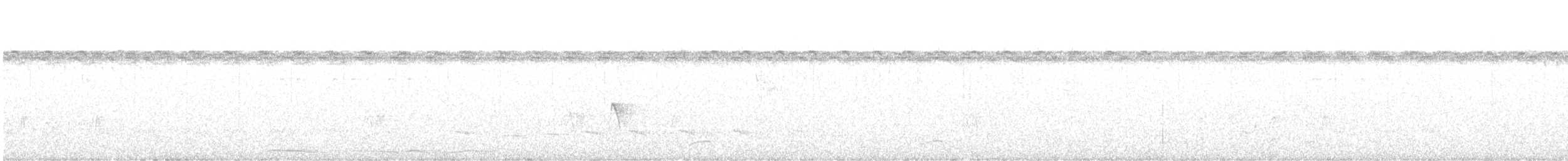 Yellow-legged Tinamou - ML613906909