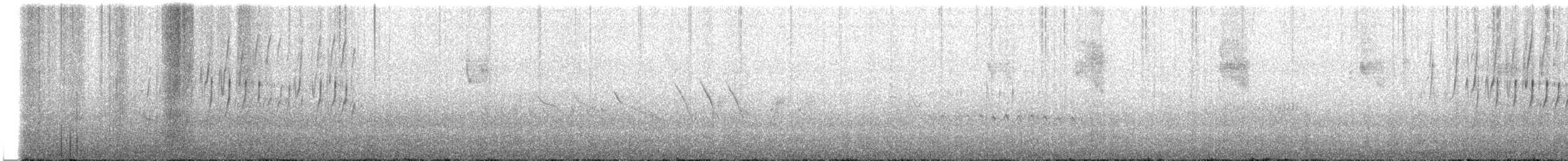 Grass Wren (Austral) - ML613908098