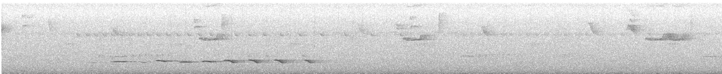 Белобровый торорой - ML613908910