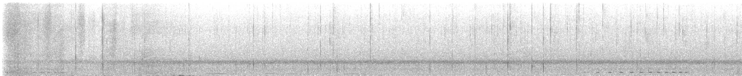 Western Screech-Owl - ML613913411