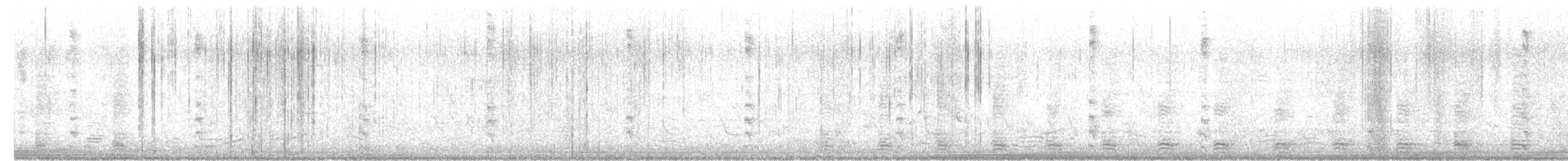 אנפית מנגרובים - ML613913596