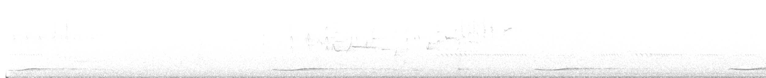 Тихоокеанский коэль (cyanocephalus/subcyanocephalus) - ML613915350