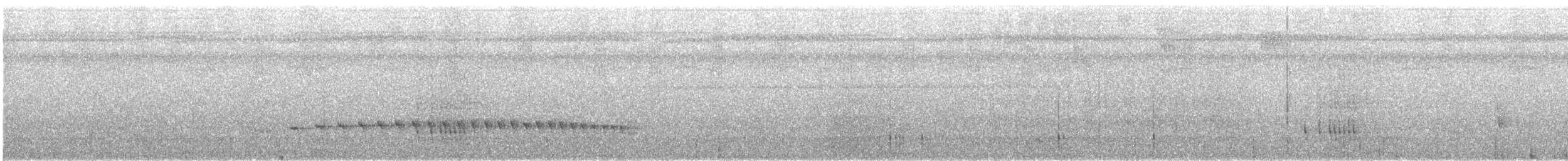 Weißkehl-Ameisenschlüpfer - ML613916162