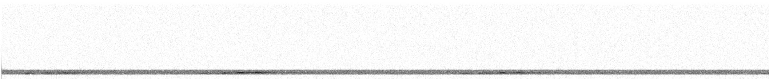 Civetta capogrosso - ML613919538