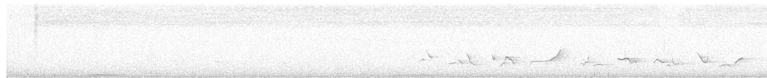 Черноспинный толстонос - ML613919571