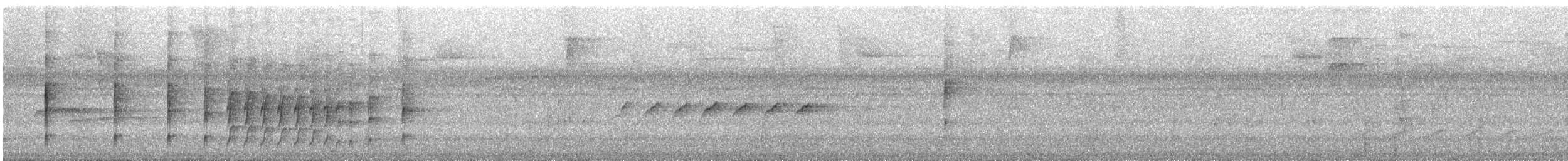 Black-and-white Tody-Flycatcher - ML613922620