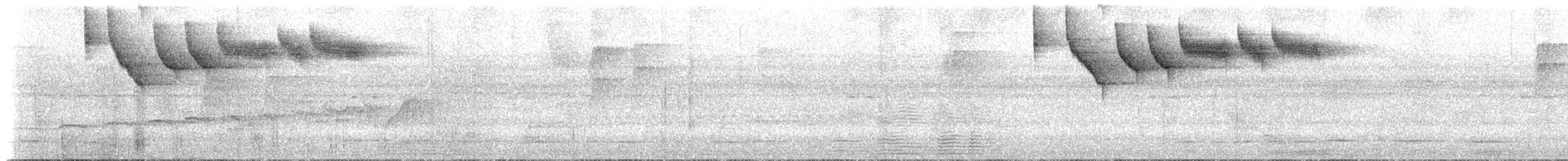 アカハシシズカシトド（spectabilis） - ML613923500