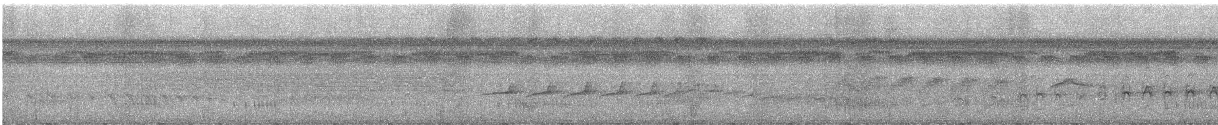 Braunweiß-Ameisenvogel - ML613924562