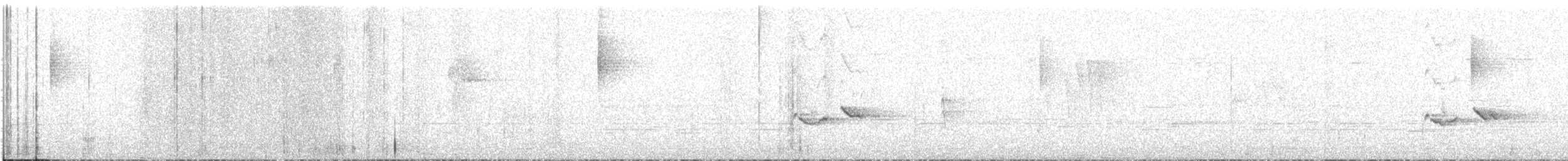 Скриточуб гімалайський - ML613924624