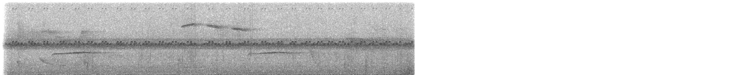 Пестрохвостый колибри - ML613925557