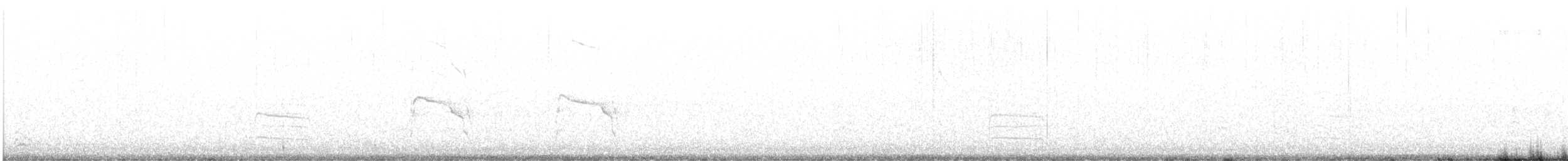 moták severoamerický - ML613930000