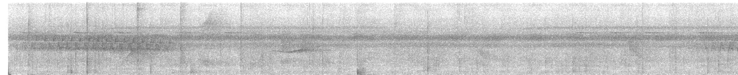 Troglodyte denté - ML613930288