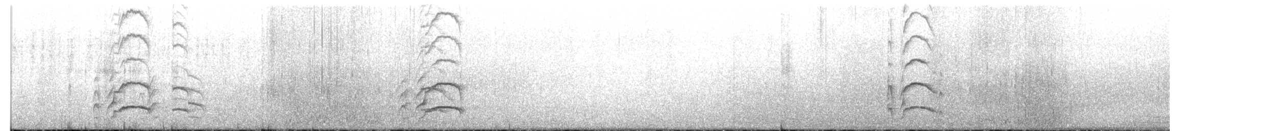 Yeni Zelanda Kara Poyrazkuşu - ML613933478