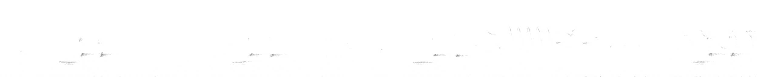 Iberian Gray Shrike - ML613938247