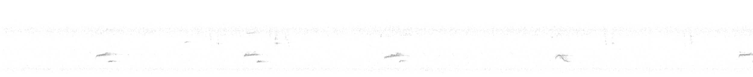 Iberian Gray Shrike - ML613938248