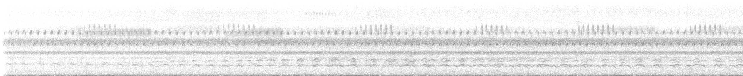 Double-striped Thick-knee - ML613942260