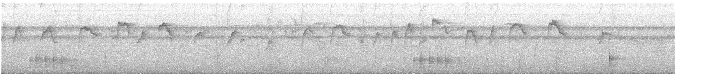 Коричневый колибри-отшельник - ML613943687