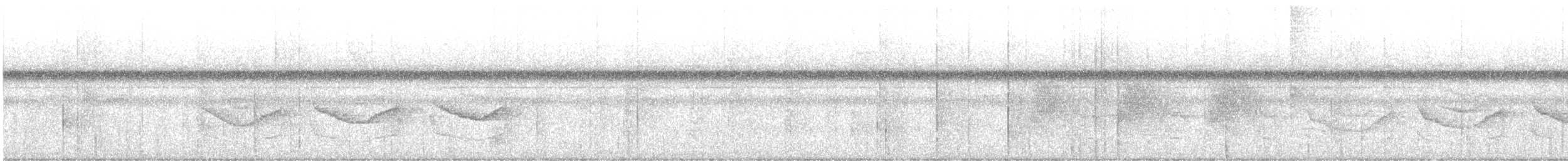 Band-tailed Antwren - ML613943995