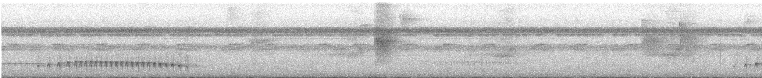 Weißbrauen-Ameisenfänger - ML613944554