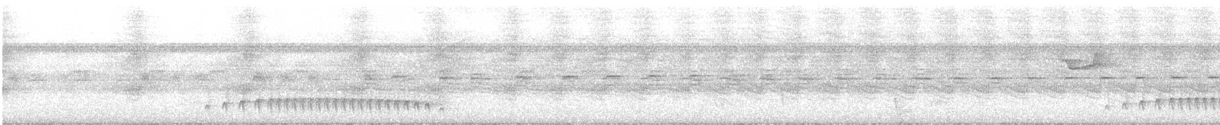 Weißbrauen-Ameisenfänger - ML613944555